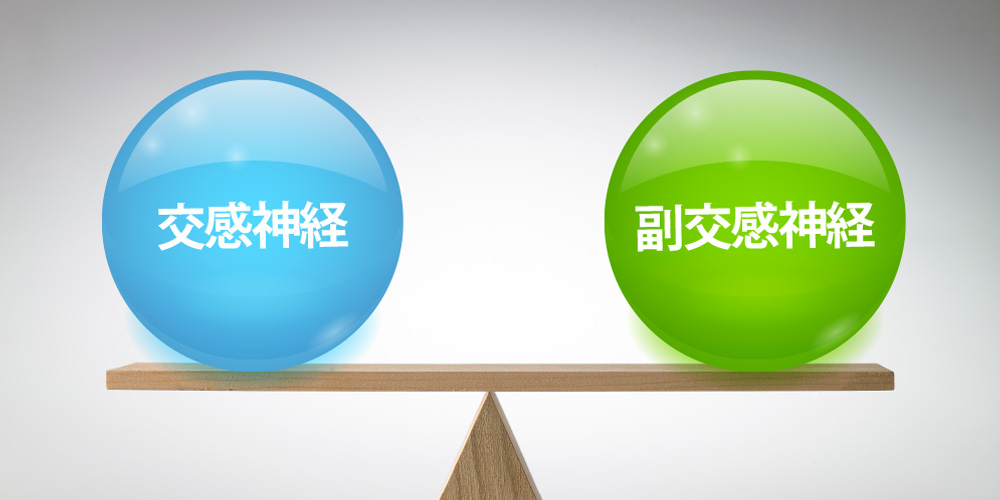 交感神経と副交感神経のシーソー